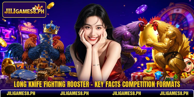 Long Knife Fighting Rooster - Key Facts Competition Formats