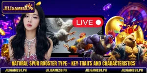 Natural Spur Rooster Type - Key Traits And Characteristics