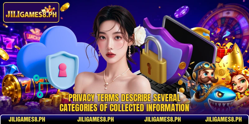Privacy terms describe several categories of collected information