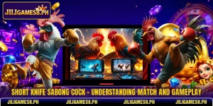 Short Knife Sabong Cock - Understanding Match And Gameplay